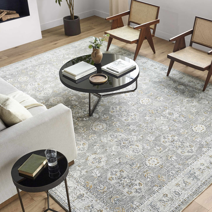 Hafsa Traditional Style Beige And Gray Rug