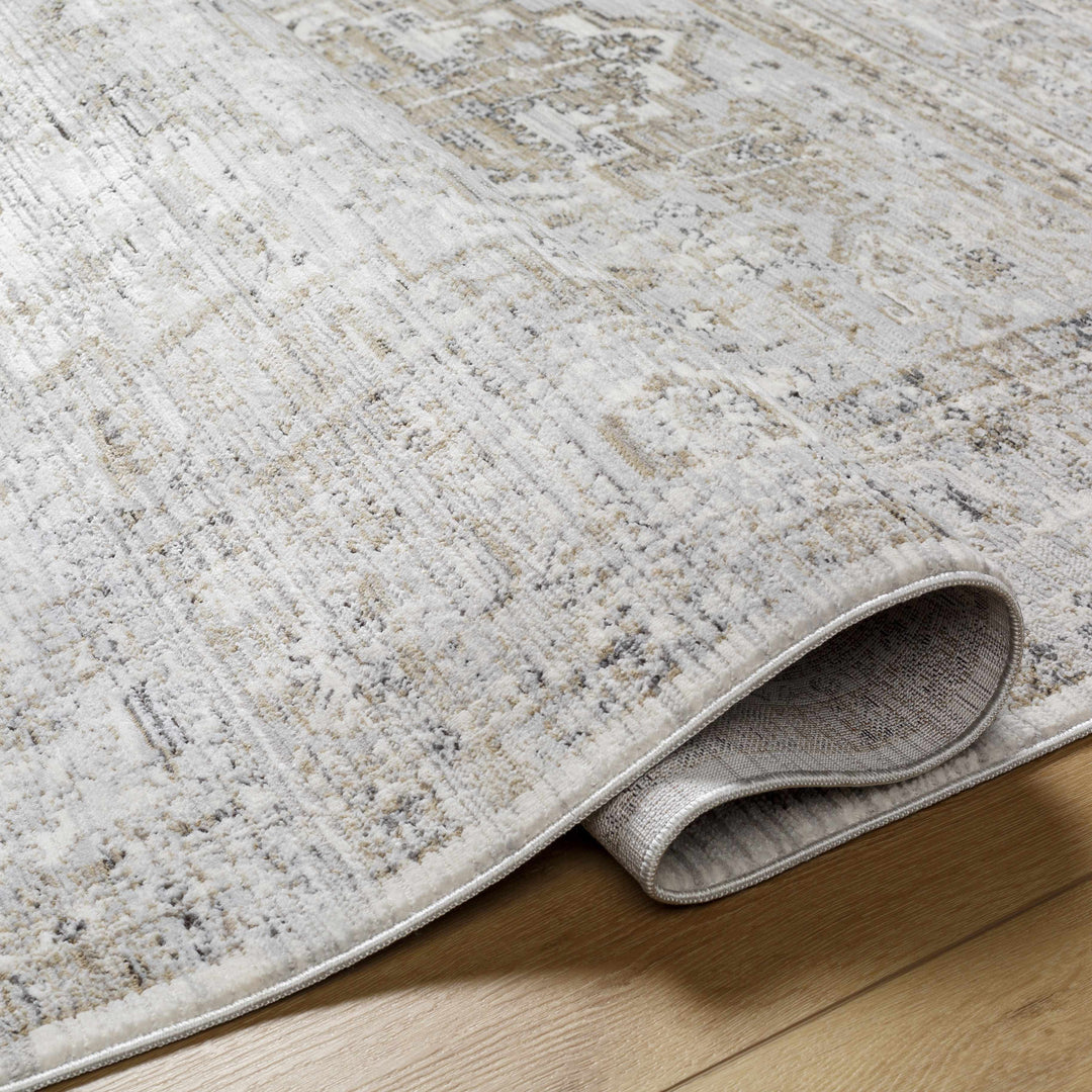 Kazou Gray And Beige Traditional Style Rug