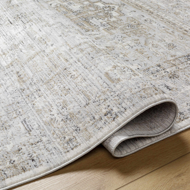 Kazou Gray And Beige Traditional Style Rug