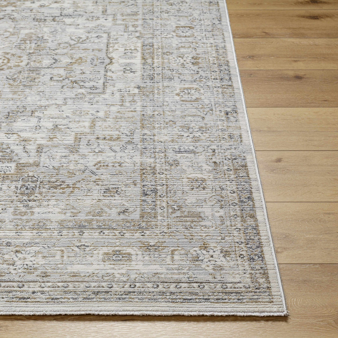 Kazou Gray And Beige Traditional Style Rug