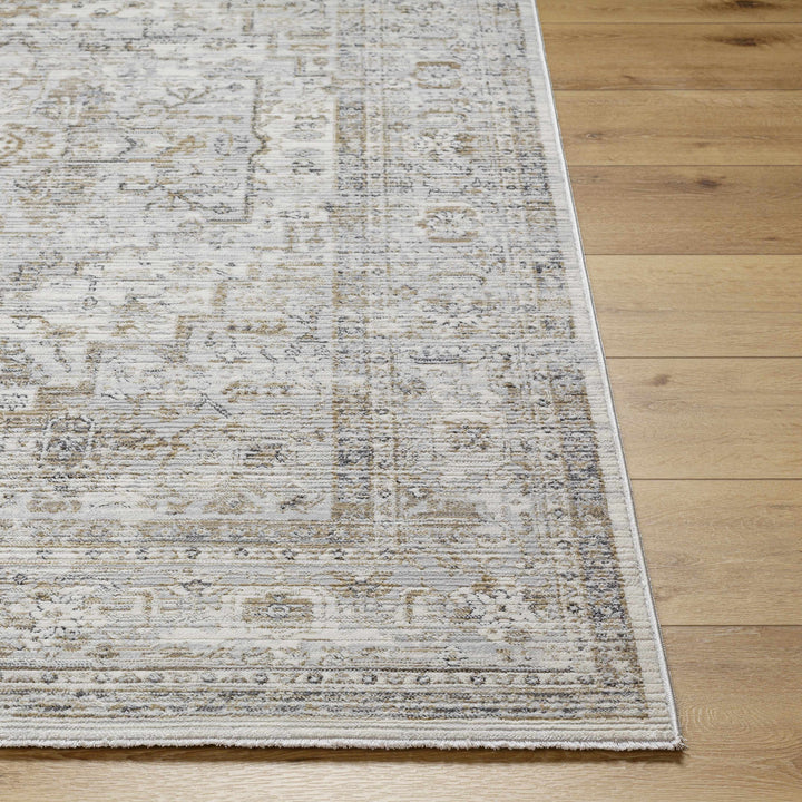 Kazou Gray And Beige Traditional Style Rug