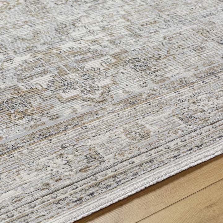 Kazou Gray And Beige Traditional Style Rug