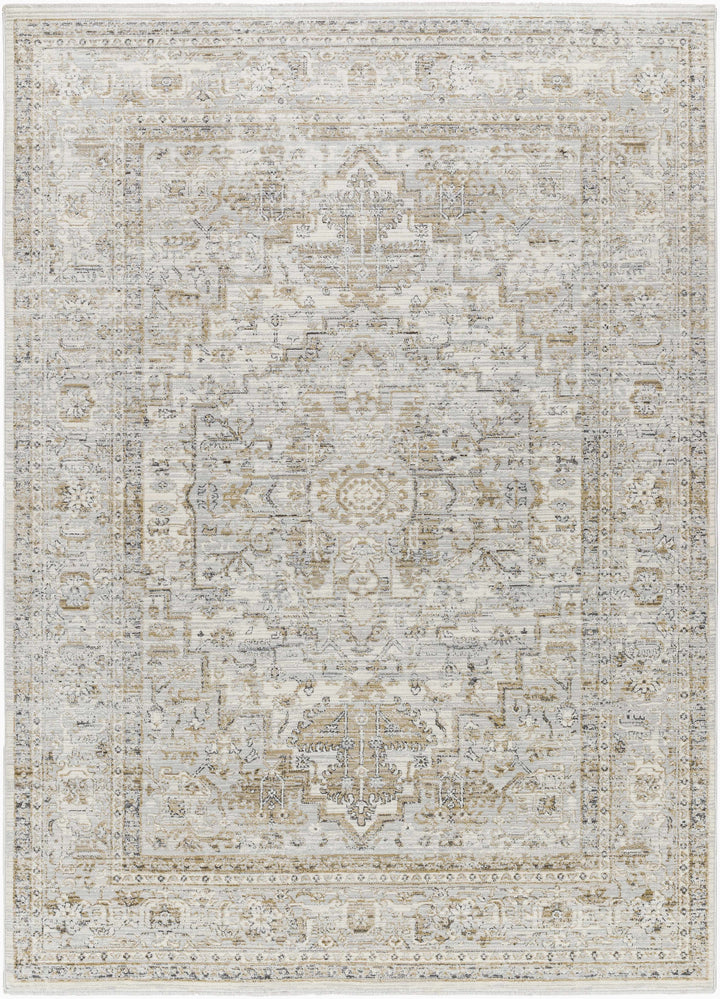 Kazou Gray And Beige Traditional Style Rug
