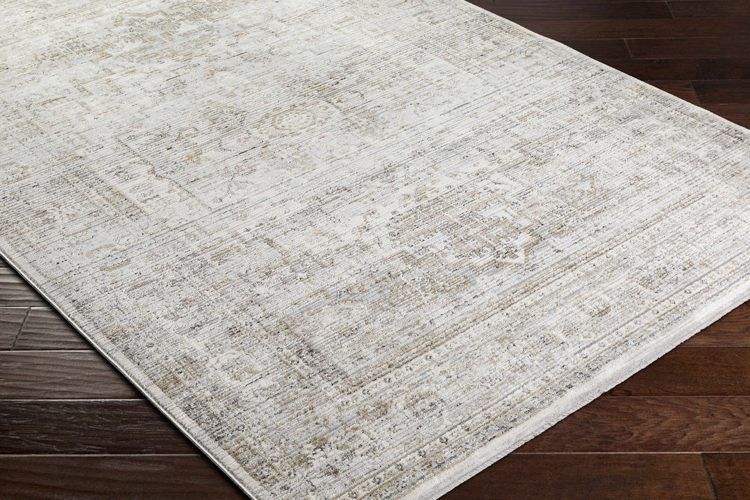 Kazou Gray And Beige Traditional Style Rug
