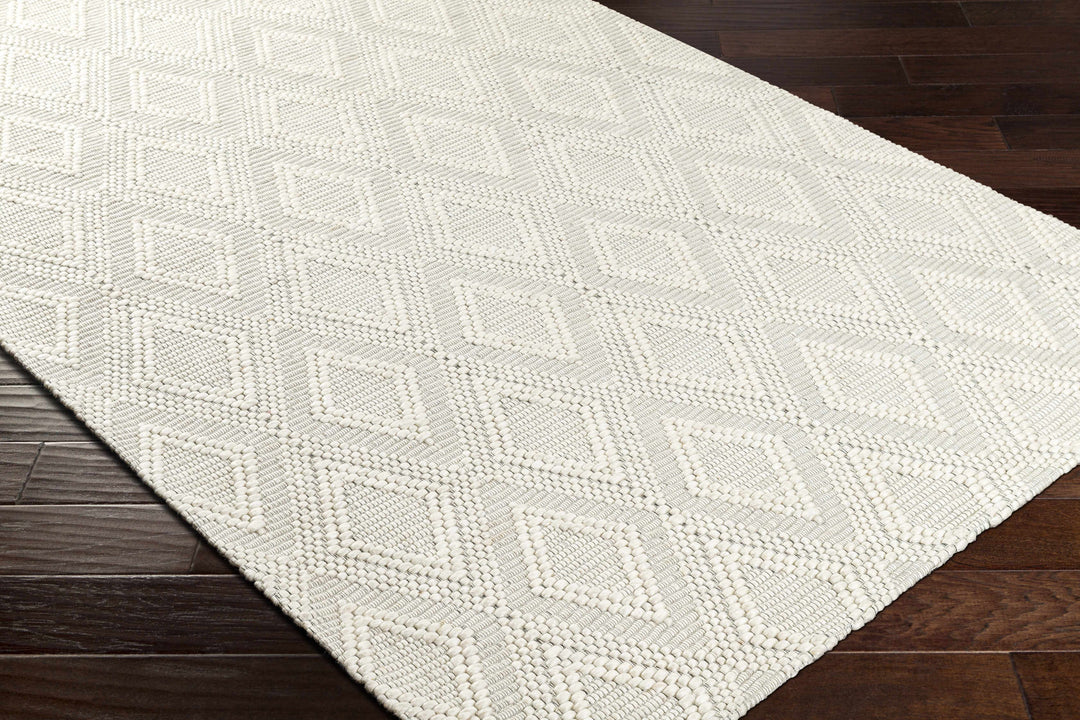 Kasib Ivory Modern Style Hand Woven Wool Area Rug