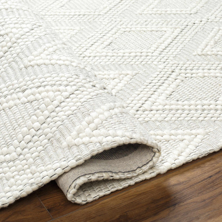 Kasib Ivory Modern Style Hand Woven Wool Area Rug