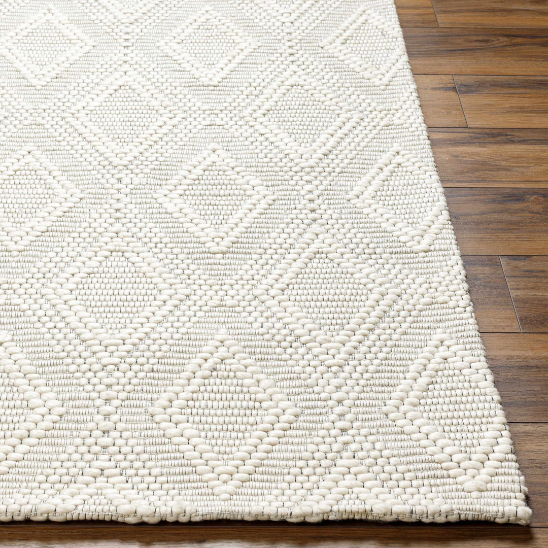 Kasib Ivory Modern Style Hand Woven Wool Area Rug