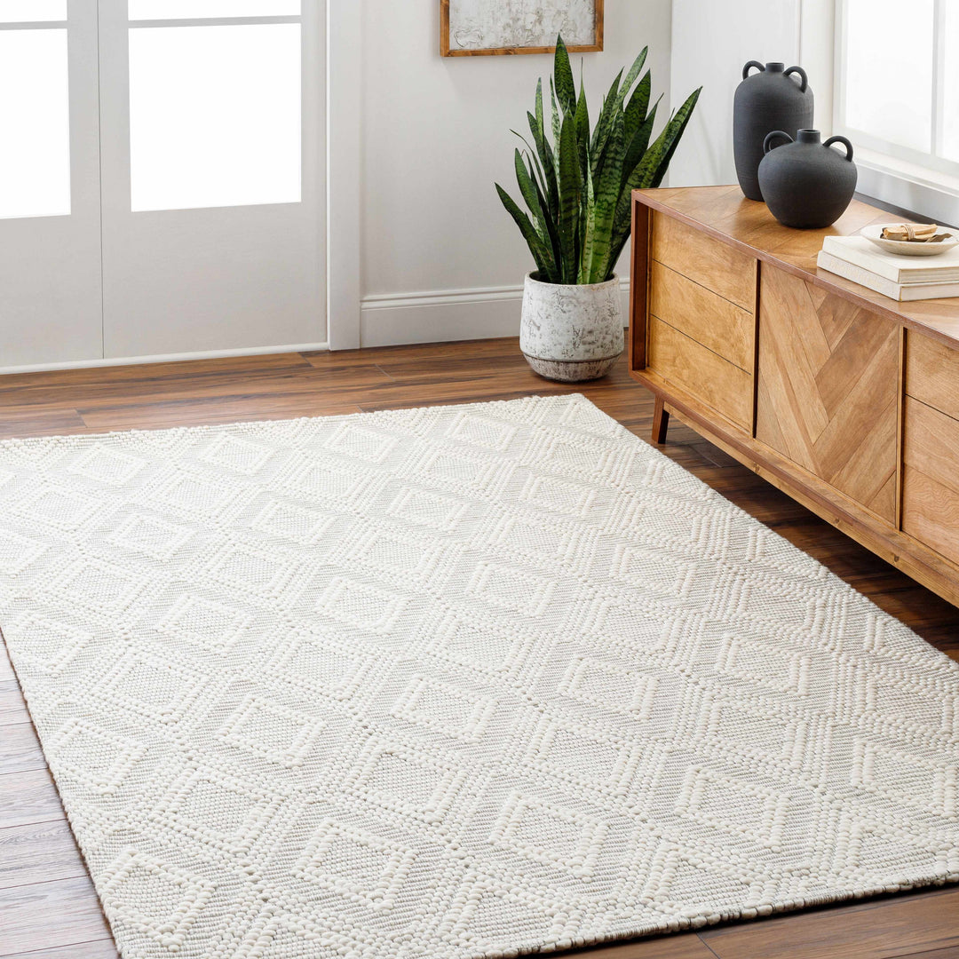 Kasib Ivory Modern Style Hand Woven Wool Area Rug