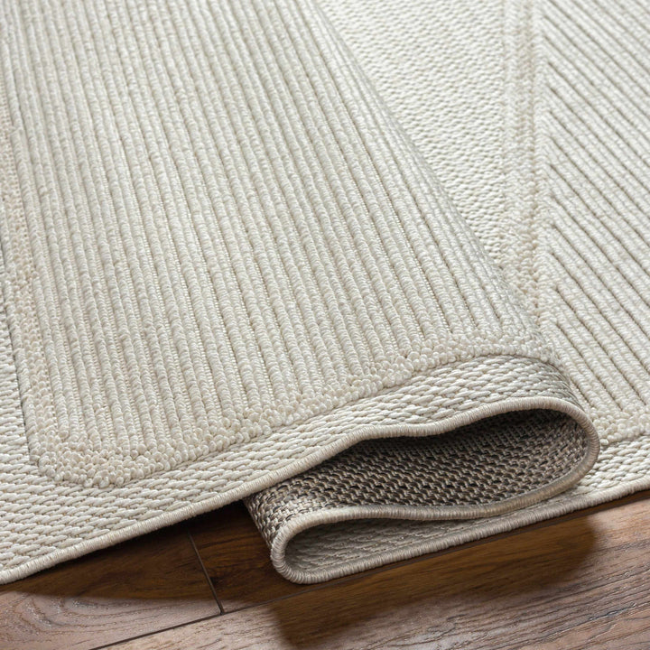 Brac Contemporary Style Ivory And Gray Area Rug