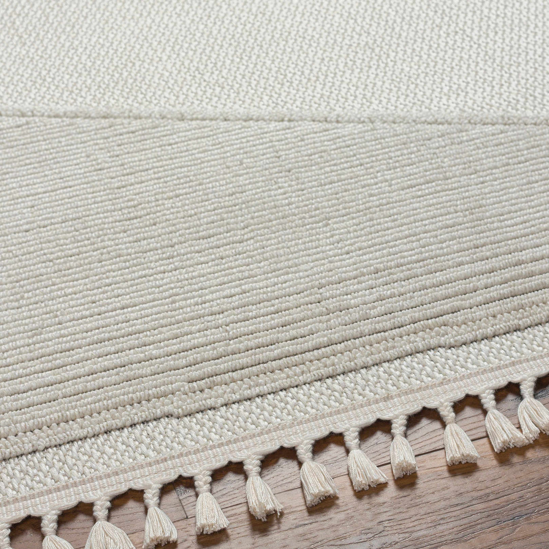 Brac Contemporary Style Ivory And Gray Area Rug