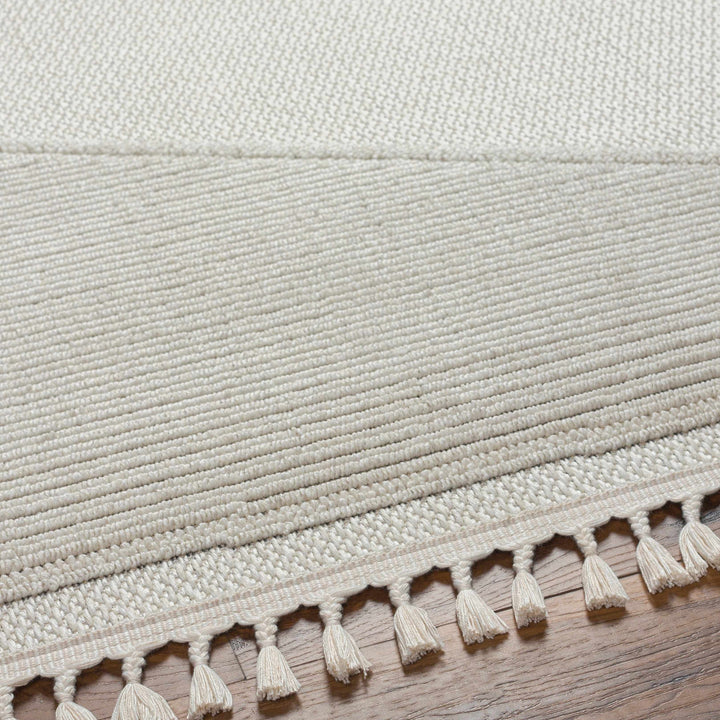 Brac Contemporary Style Ivory And Gray Area Rug