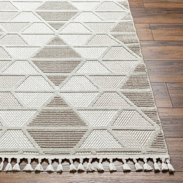 Tova Modern Geometric Design Beige Area Rug
