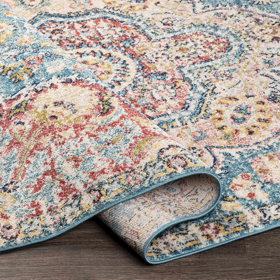 Sharnbrook Traditional Style Pink And Blue Area Rug
