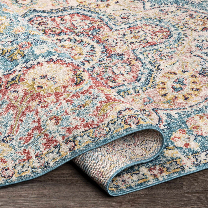 Sharnbrook Traditional Style Pink And Blue Area Rug
