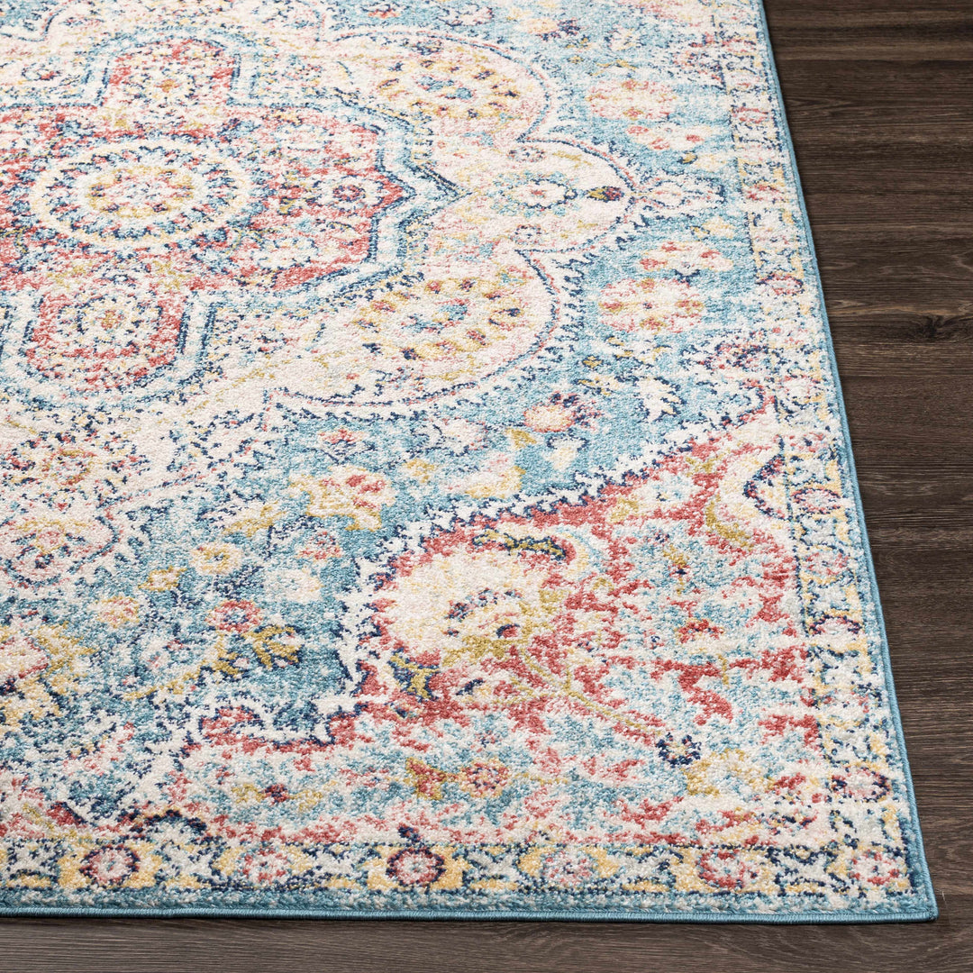 Sharnbrook Traditional Style Pink And Blue Area Rug