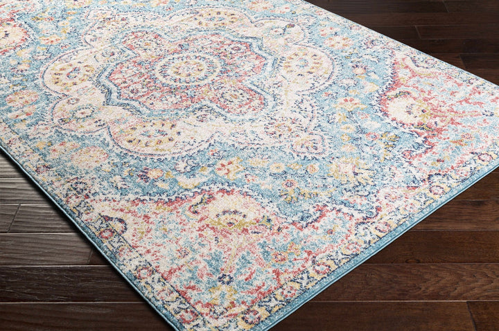 Sharnbrook Traditional Style Pink And Blue Area Rug - The Rug Decor