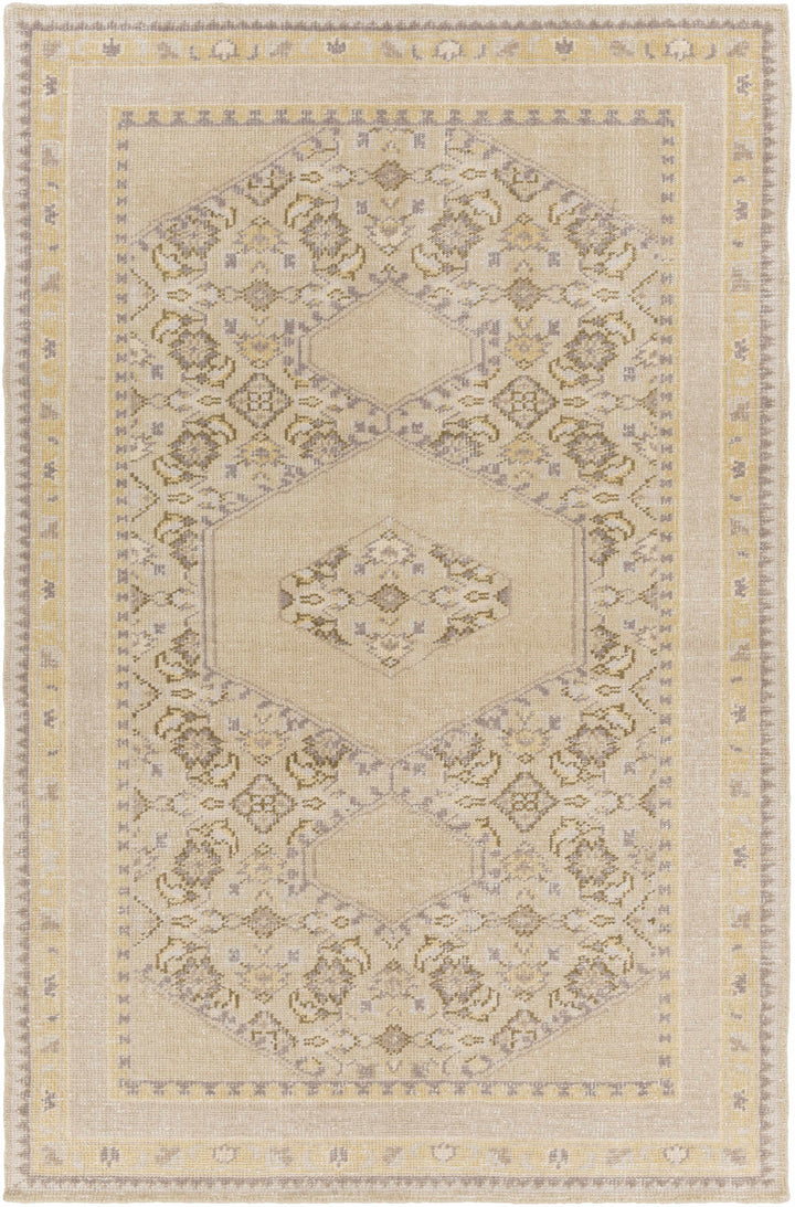 Shoemakersville Traditional Style Beige Hand Knotted Area Rug