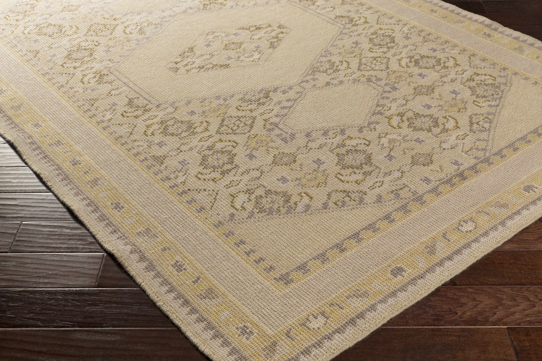 Shoemakersville Traditional Style Beige Hand Knotted Area Rug