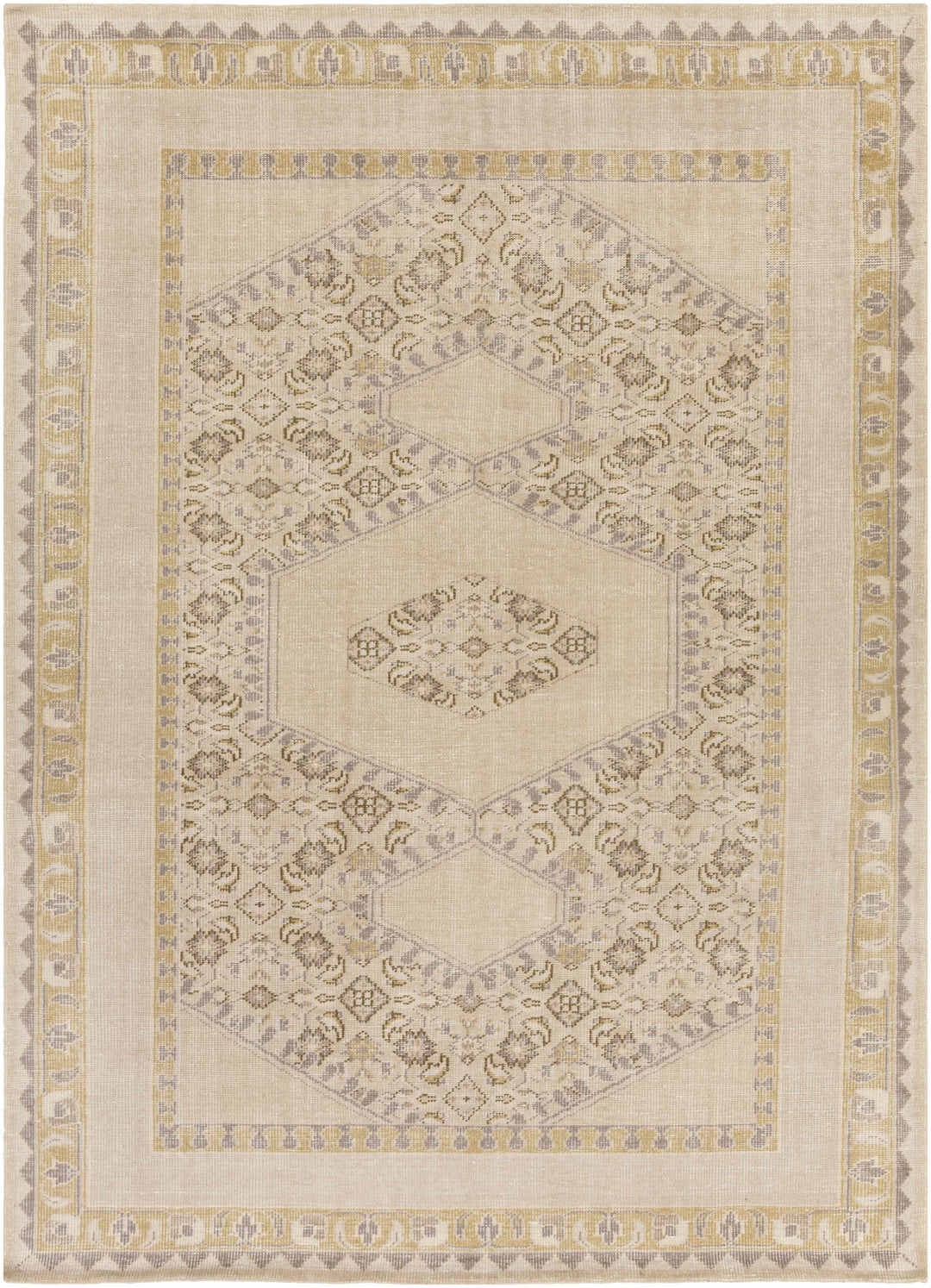 Shoemakersville Traditional Style Beige Hand Knotted Area Rug