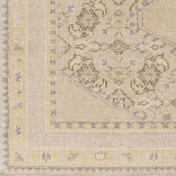 Shoemakersville Traditional Style Beige Hand Knotted Area Rug