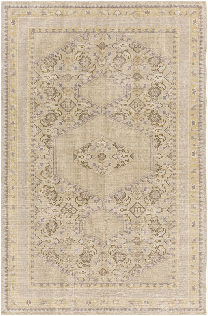 Shoemakersville Traditional Style Beige Hand Knotted Area Rug - The Rug Decor
