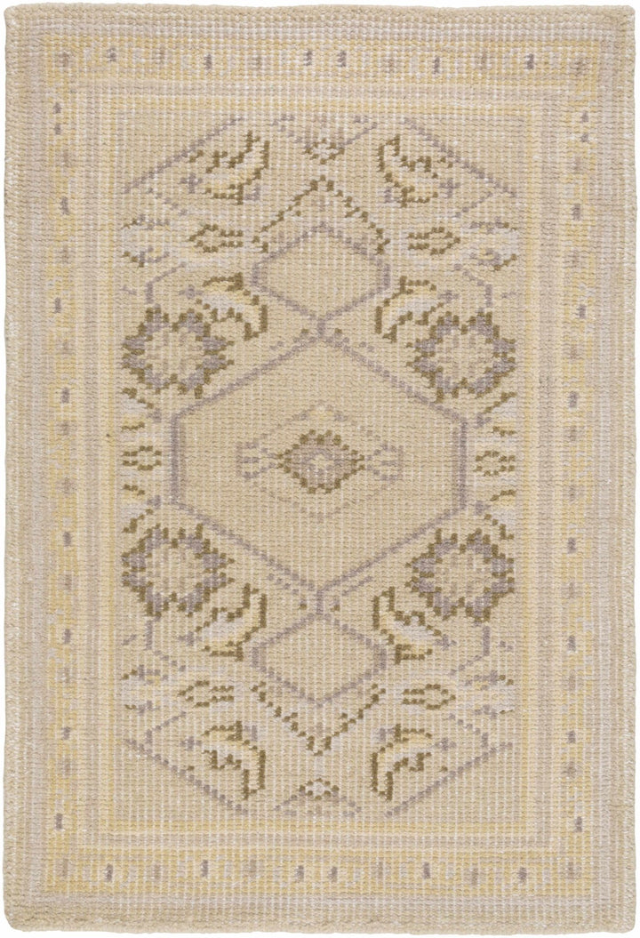 Shoemakersville Traditional Style Beige Hand Knotted Area Rug - The Rug Decor