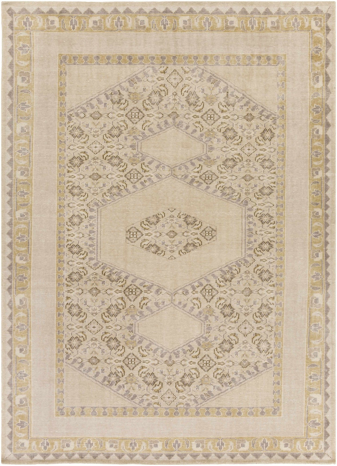 Shoemakersville Traditional Style Beige Hand Knotted Area Rug - The Rug Decor