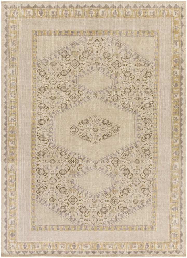 Shoemakersville Traditional Style Beige Hand Knotted Area Rug - The Rug Decor
