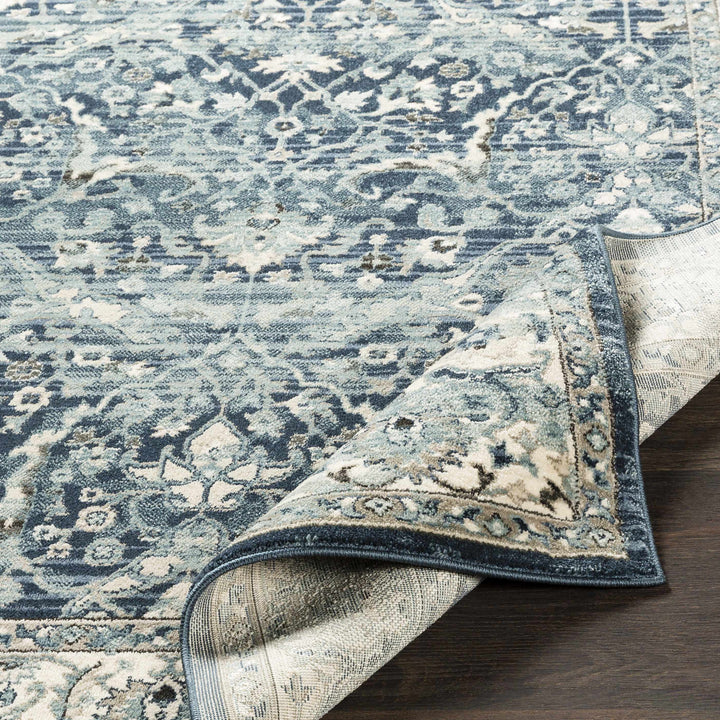 Shokan Traditional Medallion Design Ivory And Blue Area Rug