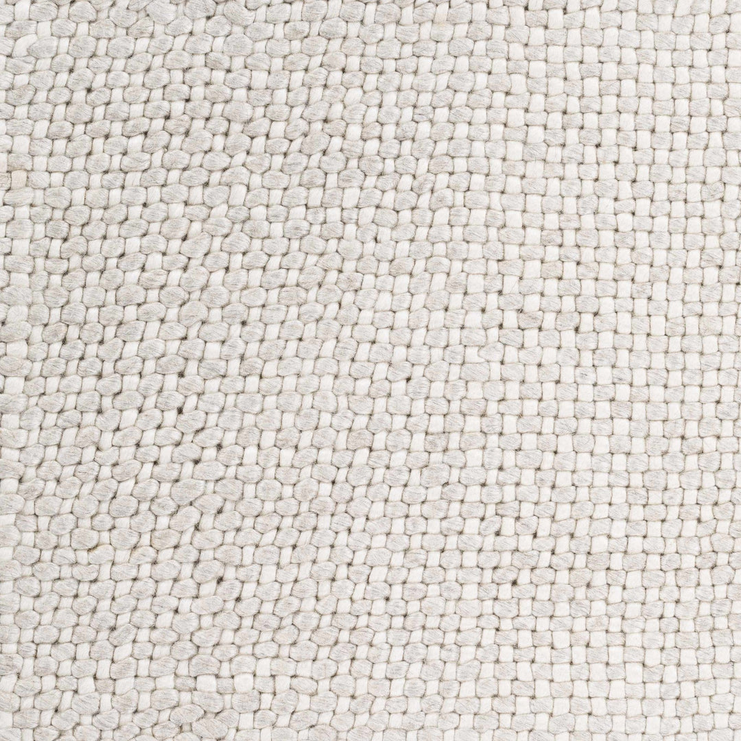 Shorterville Contemporary Style Ivory Hand Woven Area Rug - The Rug Decor