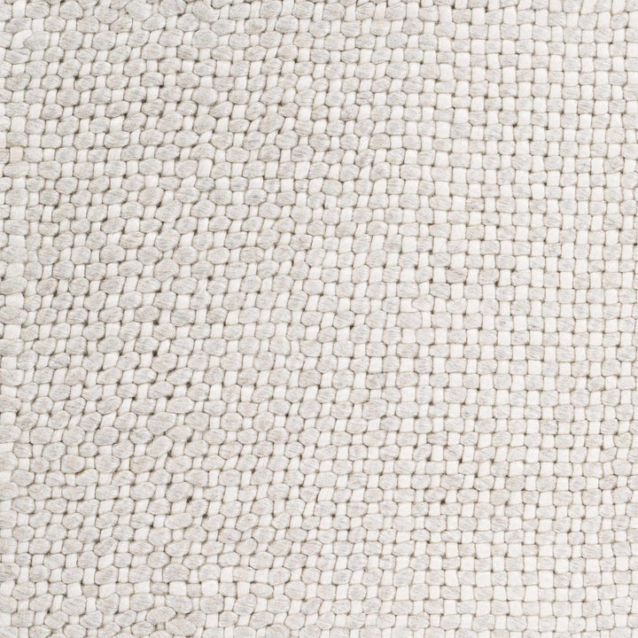 Shorterville Contemporary Style Ivory Hand Woven Area Rug - The Rug Decor