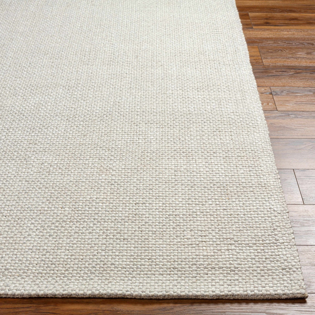 Shorterville Contemporary Style Ivory Hand Woven Area Rug - The Rug Decor