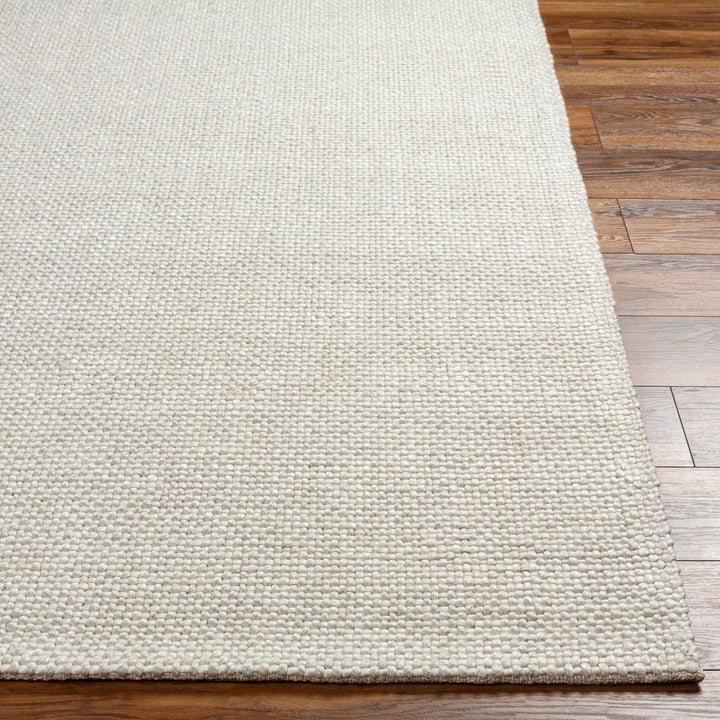 Shorterville Contemporary Style Ivory Hand Woven Area Rug - The Rug Decor