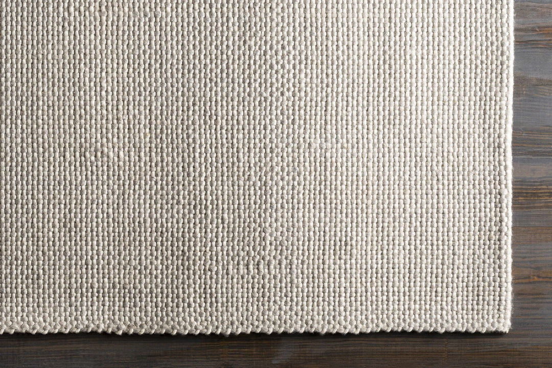 Shorterville Contemporary Style Ivory Hand Woven Area Rug - The Rug Decor
