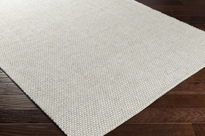Shorterville Contemporary Style Ivory Hand Woven Area Rug - The Rug Decor
