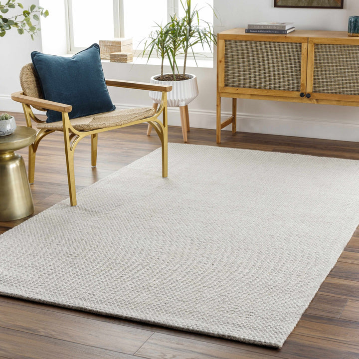 Shorterville Contemporary Style Ivory Hand Woven Area Rug - The Rug Decor