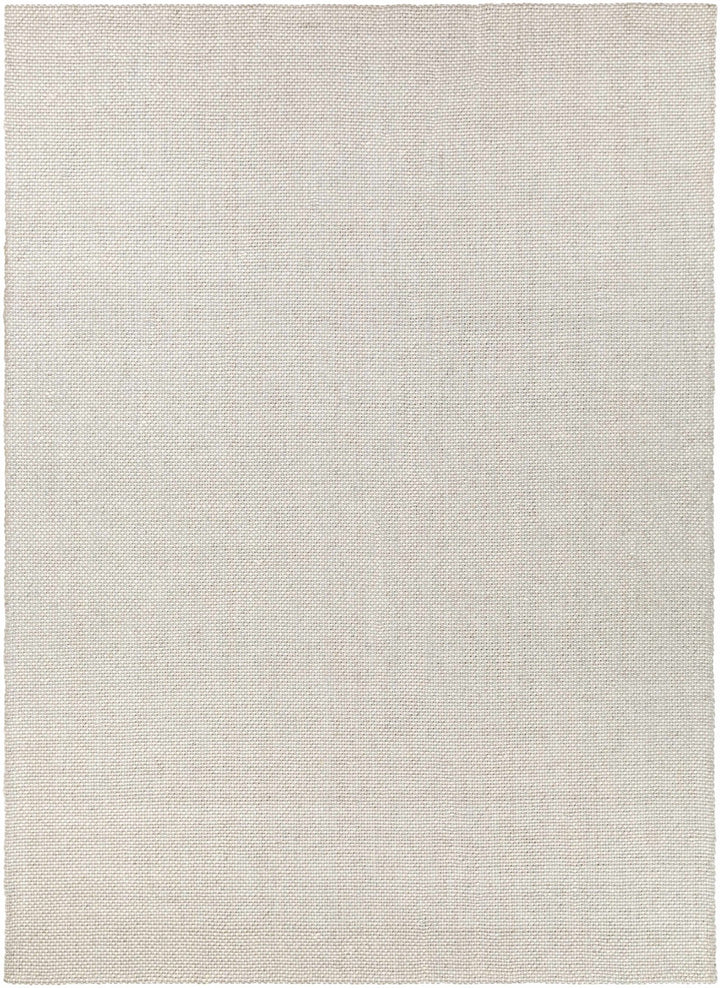 Shorterville Contemporary Style Ivory Hand Woven Area Rug - The Rug Decor
