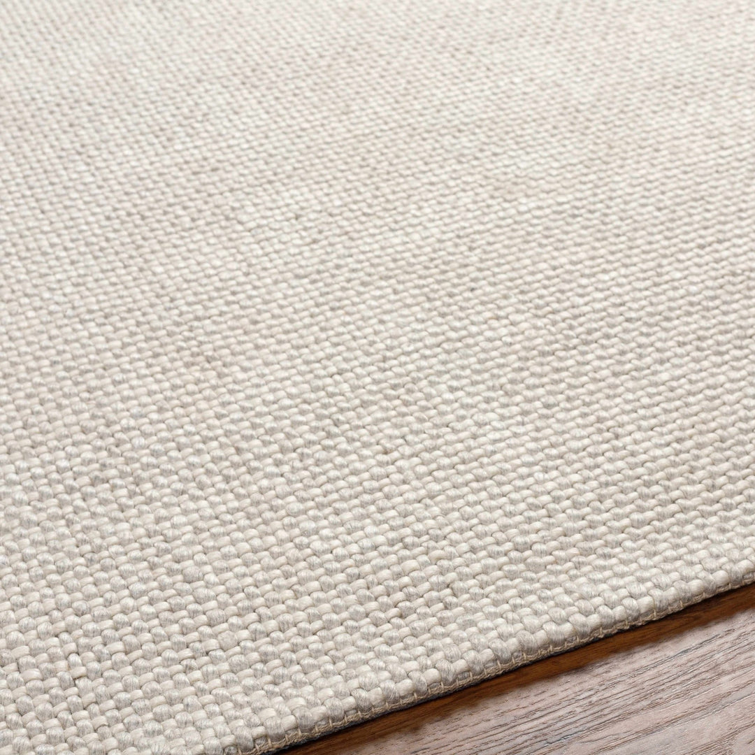 Shorterville Contemporary Style Ivory Hand Woven Area Rug - The Rug Decor