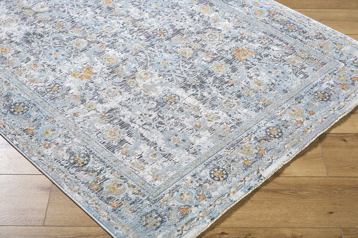 Finn Traditional Style Silver & Blue Area Rug