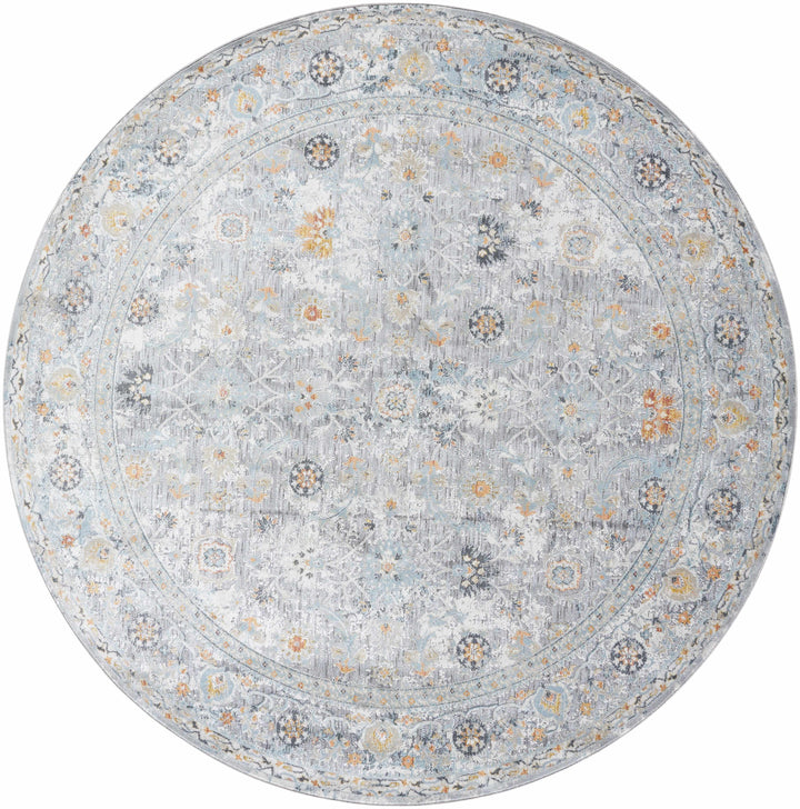 Finn Traditional Style Silver & Blue Area Rug