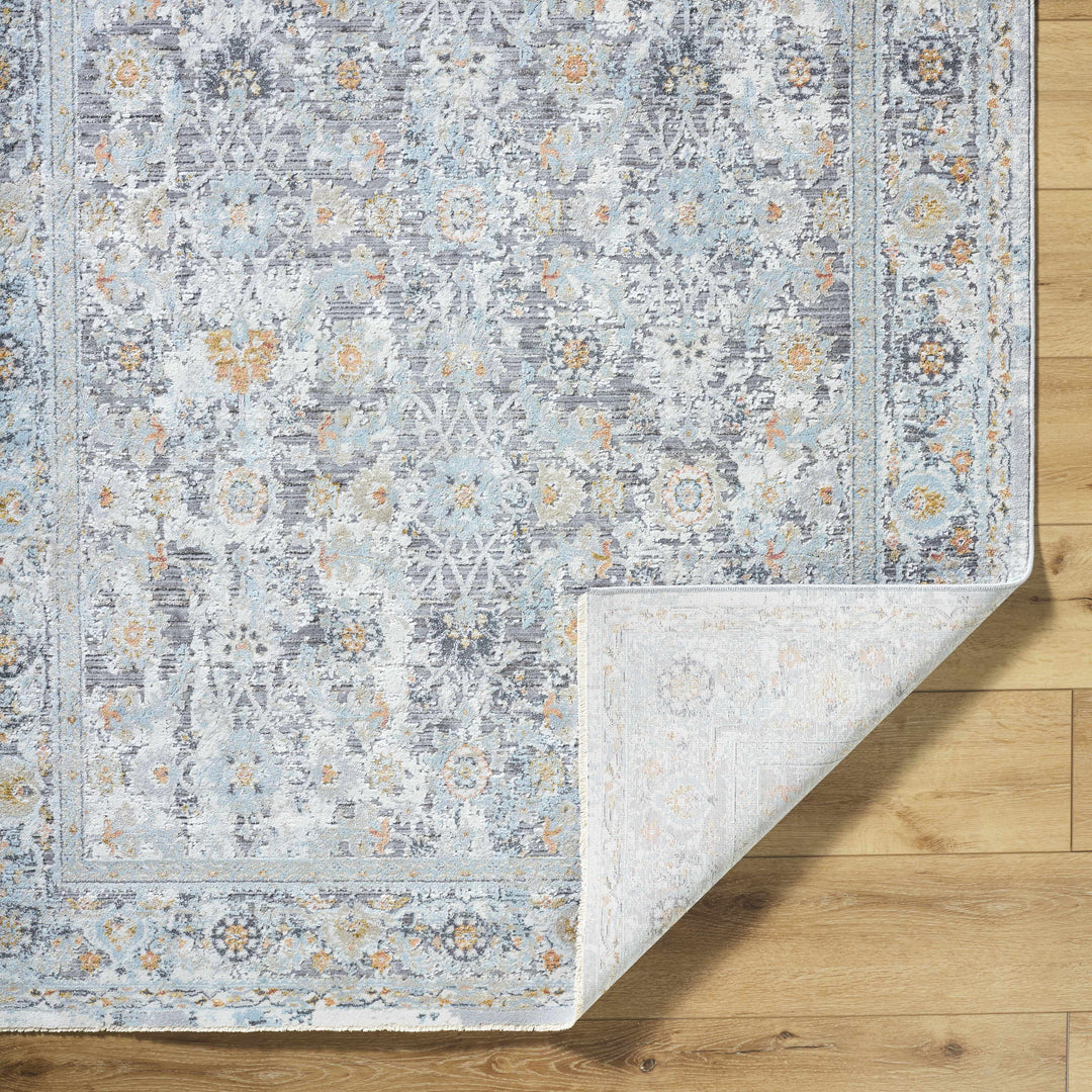 Finn Traditional Style Silver & Blue Area Rug