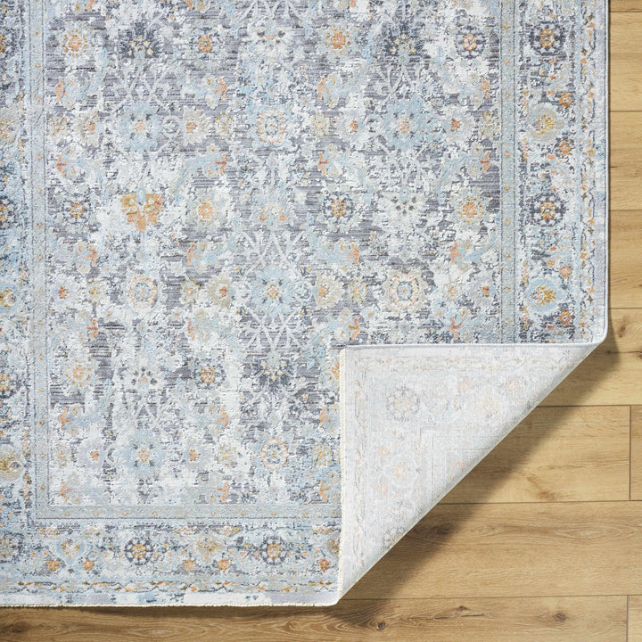 Finn Traditional Style Silver & Blue Area Rug