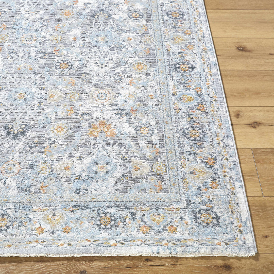 Finn Traditional Style Silver & Blue Area Rug