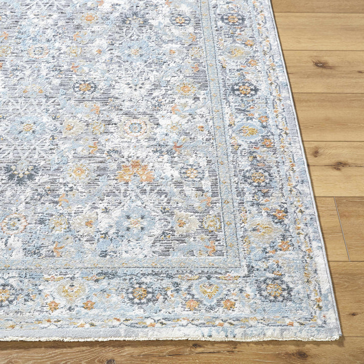 Finn Traditional Style Silver & Blue Area Rug