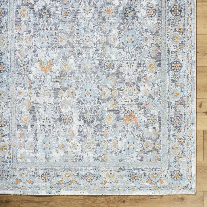 Finn Traditional Style Silver & Blue Area Rug