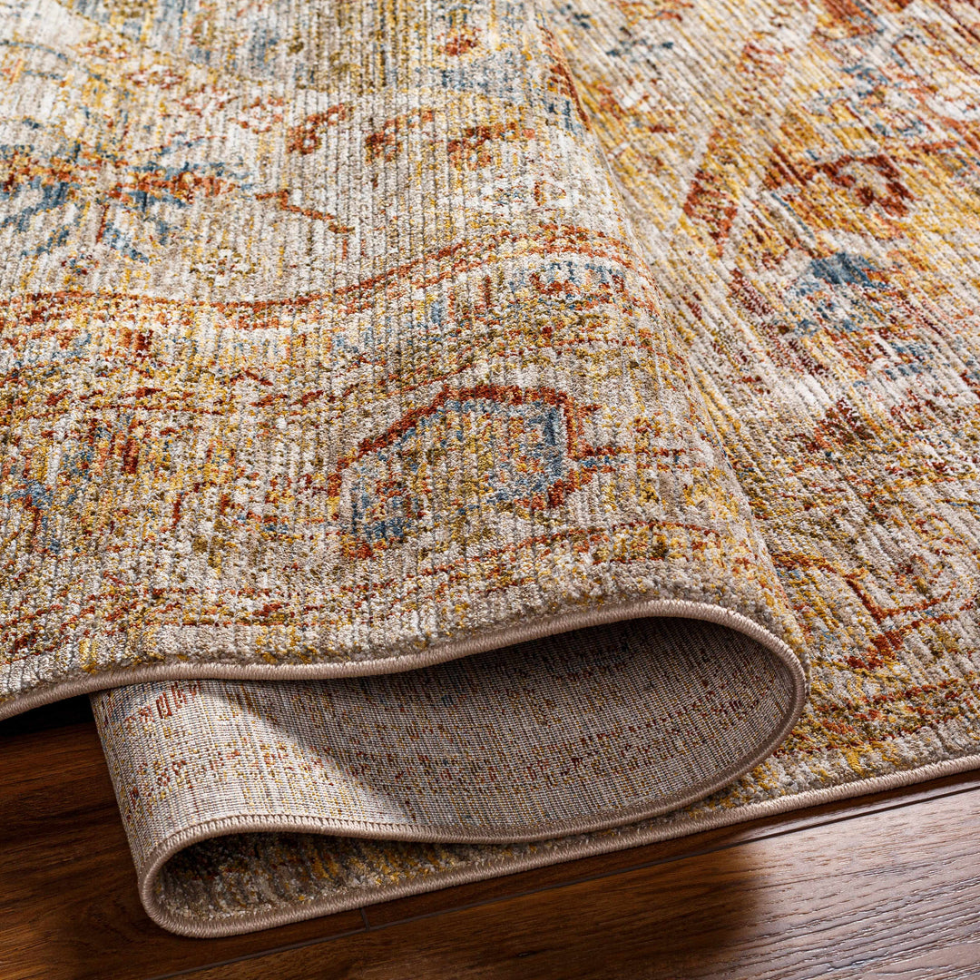 Alois Traditional Style Rust And Tan Area Rug