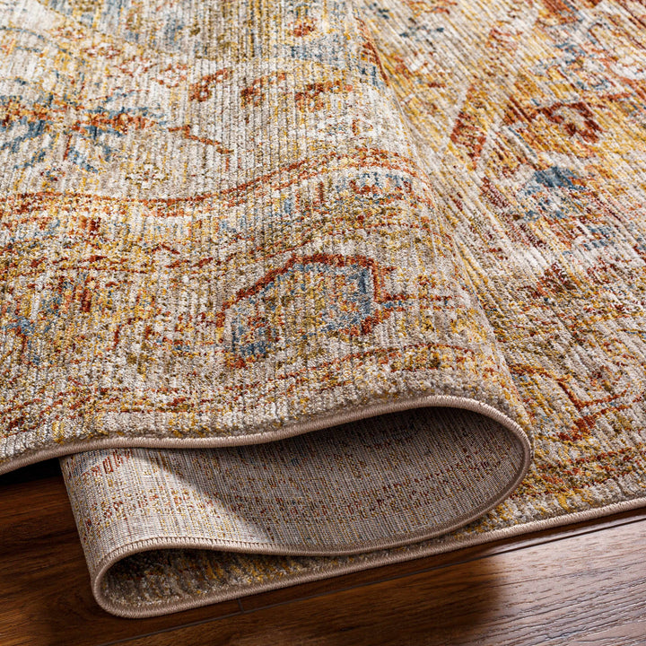 Alois Traditional Style Rust And Tan Area Rug