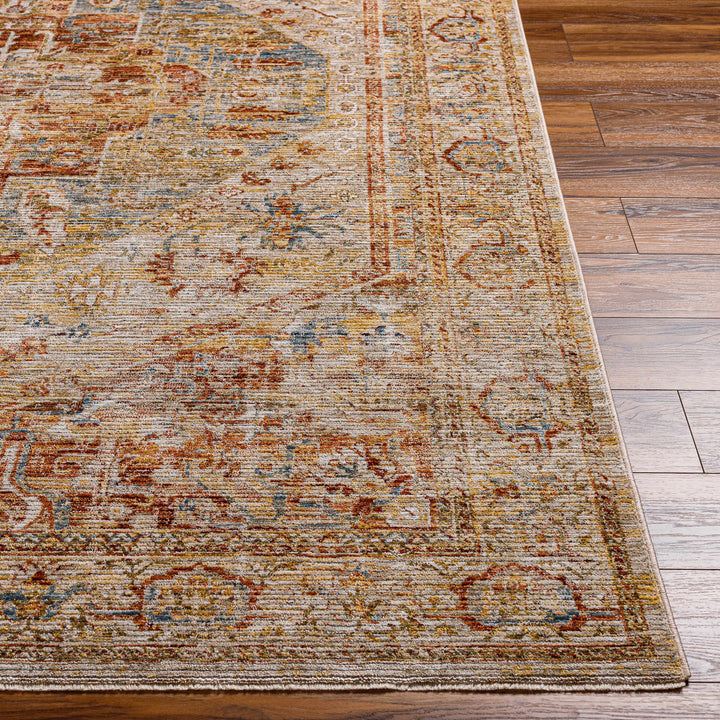 Alois Traditional Style Rust And Tan Area Rug