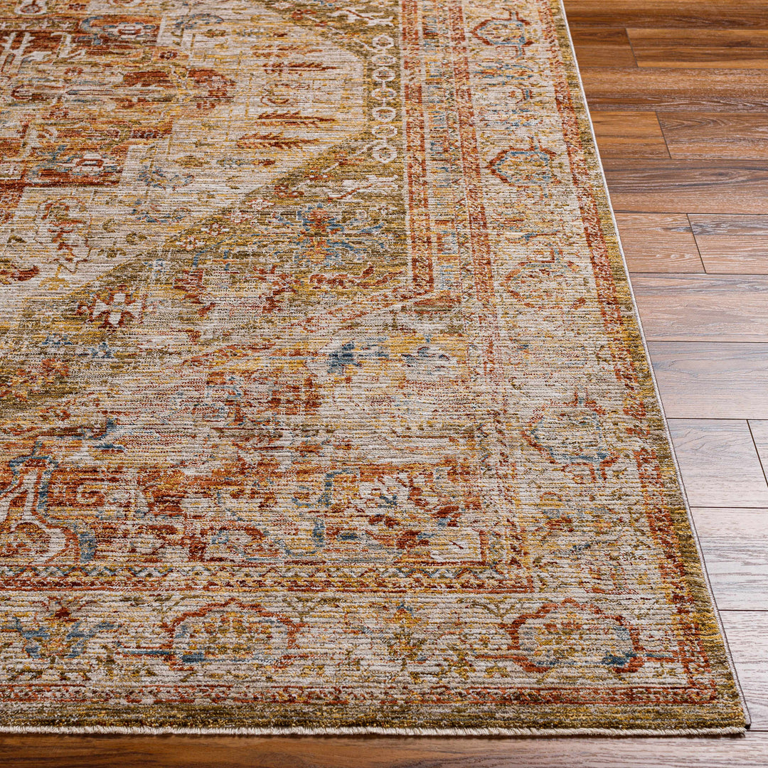 Alois Rust And Beige Traditional Style Area Rug