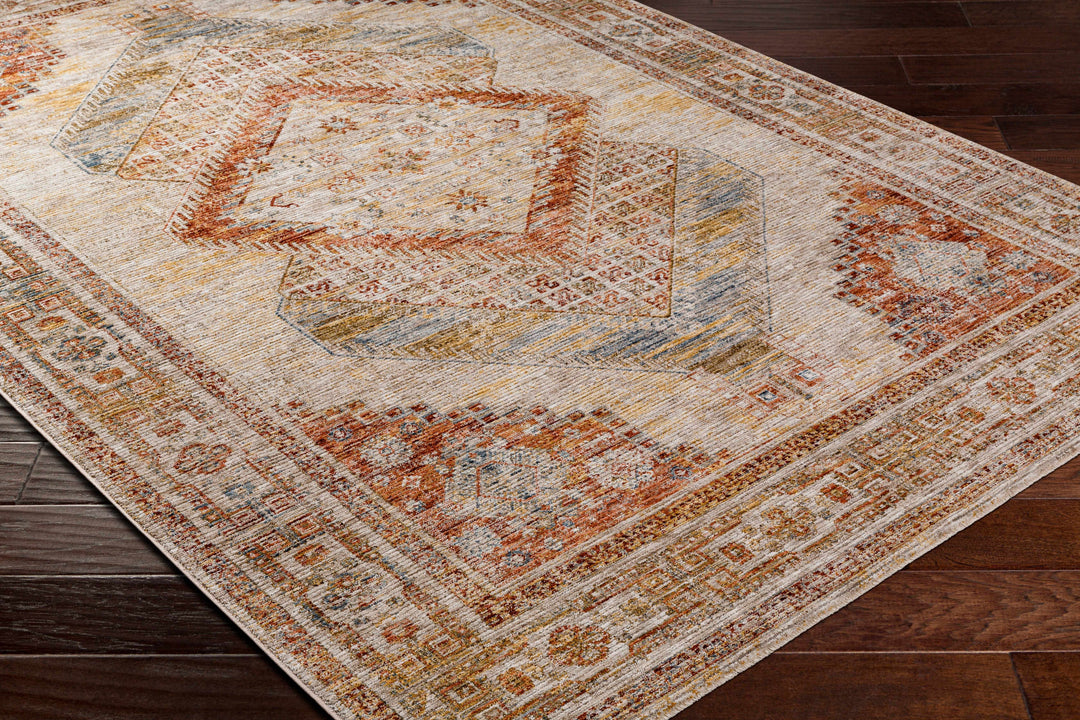 Moya Traditional Style Beige And Rust Area Rug